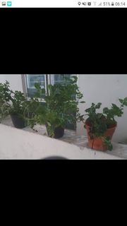 (Category: ) located in . Submitted by jemay80 (Listing ID 1092594356, Image 1). Description: .