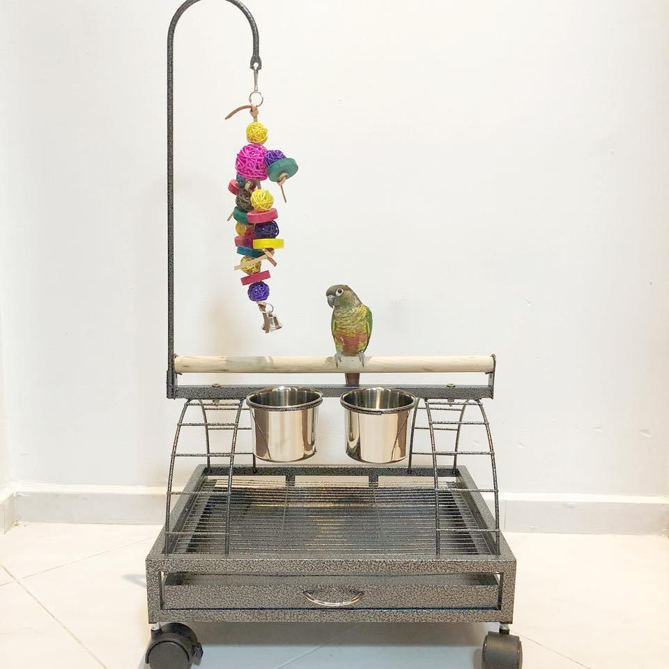 Bird perch on sale stand with wheels