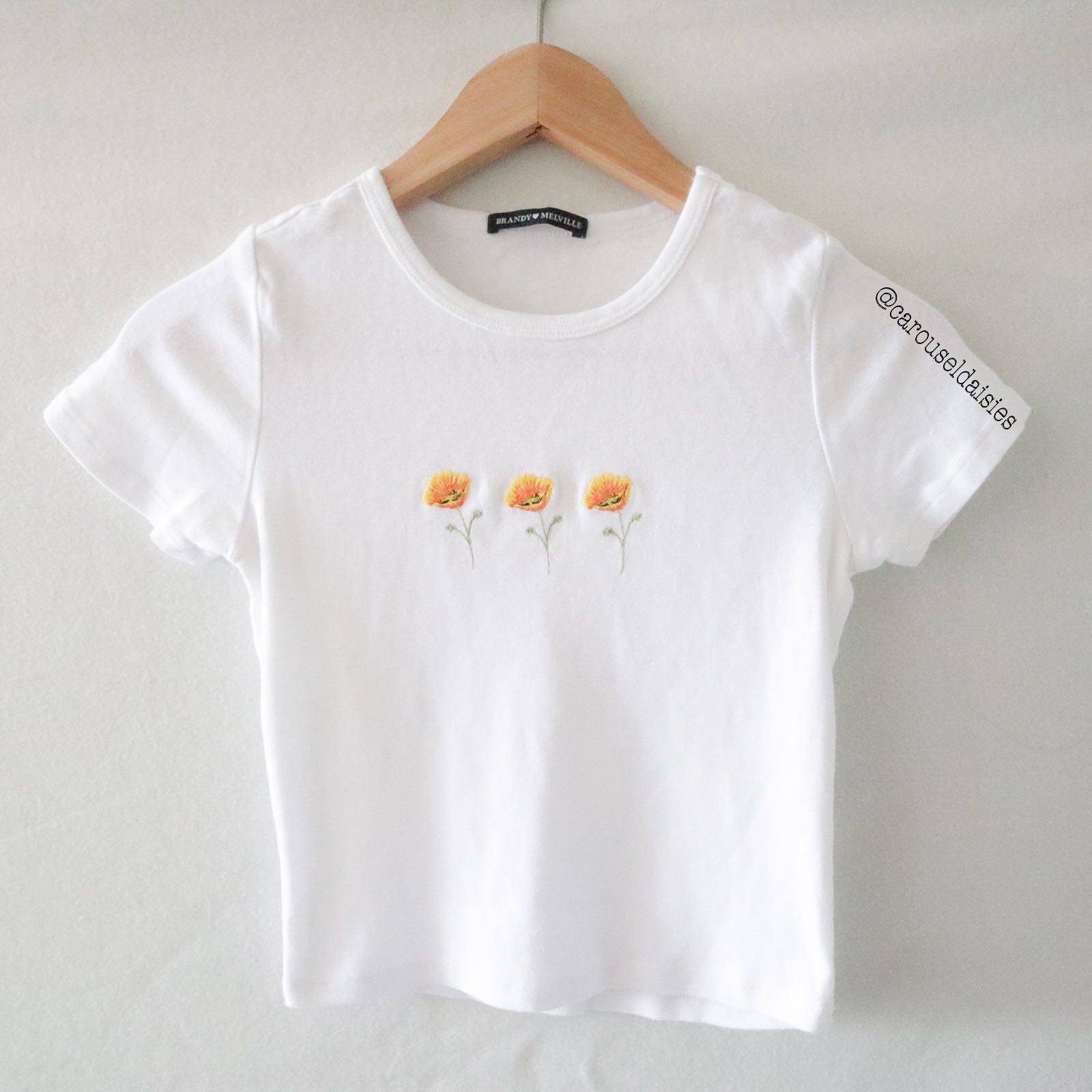 Brandy Melville Ashlyn Top (Poppy 