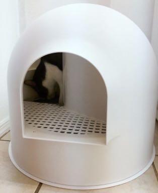 Igloo cat box on sale
