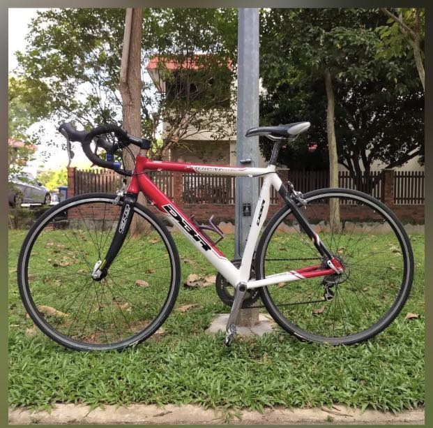 Diamondback Racing Carbon Road Bike with Shimano 105 Groupset, Sports ...