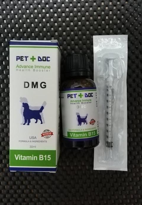 B15 for sale dogs