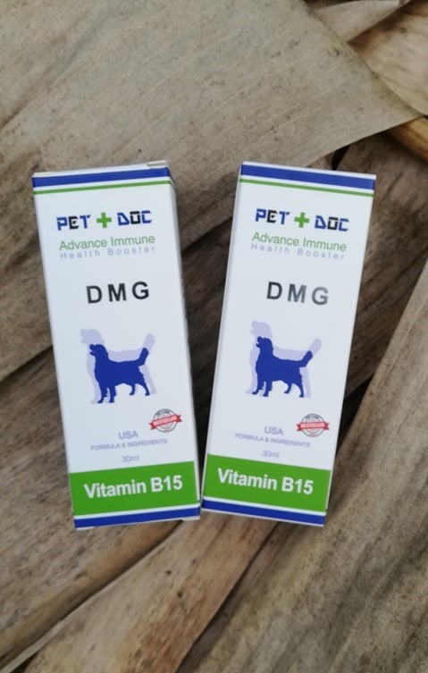DMG Vitamin B15 30ml for Dog