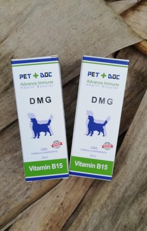 B15 for deals dogs