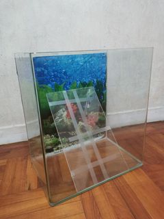 （分類：）位於 。 由 chikitchau 提交（商品編號 1092419233，圖片 1）。簡介： 。