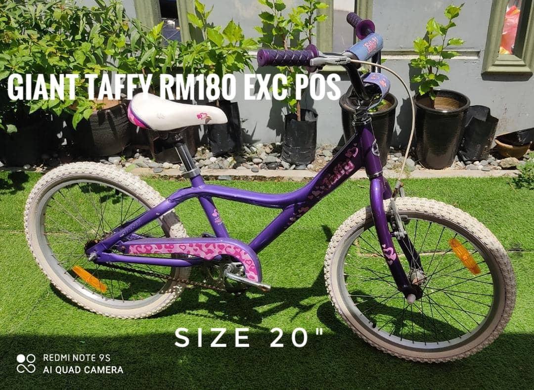 Giant best sale taffy bike