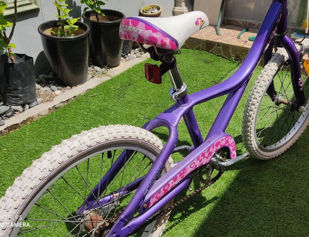 Giant taffy 20 inch bike online