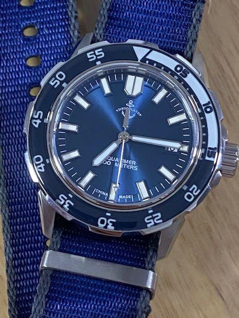 HRUODLAND F 002 AQUATIMER HOMAGE Carousell
