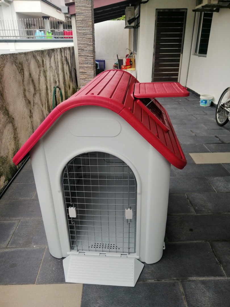 huge dog kennel