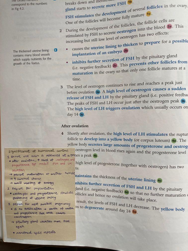 Mastering biology E1 Human physiology regulation and control, 興趣及遊戲, 書本 ...