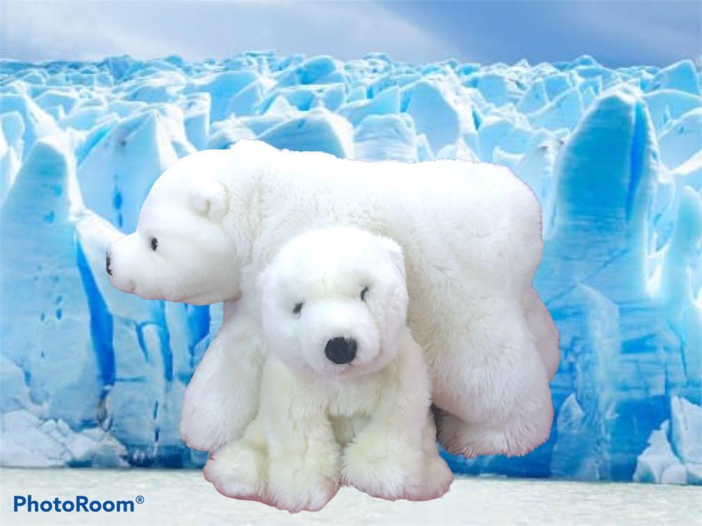 Mom And Baby Polar Bear Toys Games Other Toys On Carousell