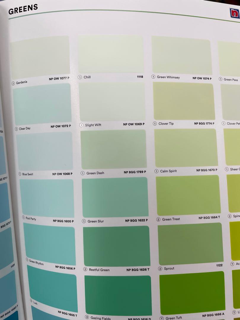To bless Nippon Paint 2.5L Green Dash, Everything Else on Carousell