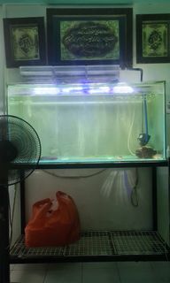 (Category: ) located in . Submitted by doggyguy (Listing ID 1092613316, Image 1). Description: .