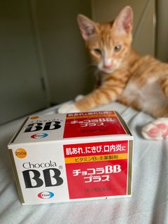 （分類：）位於 。 由 jane1005 提交（商品編號 1092656327，圖片 1）。簡介： 。