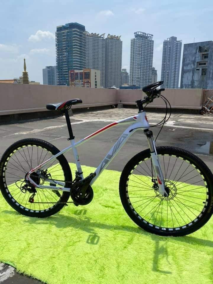Reko rhino 29er on sale