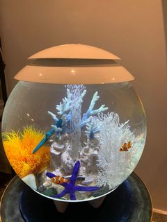 (Category: ) located in . Submitted by supermum18 (Listing ID 1092757079, Image 1). Description: .