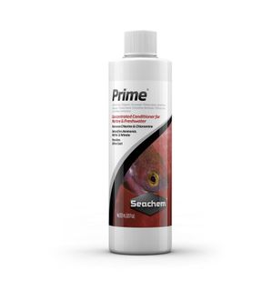 (Category: ) located in . Submitted by tankyouaquatics (Listing ID 1092628692, Image 1). Description: .