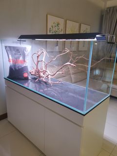 (Category: ) located in . Submitted by aquaticstore (Listing ID 1092774072, Image 1). Description: .