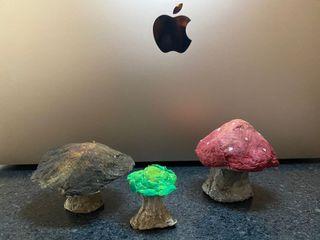 Paper mache mushrooms Paper mache mushrooms