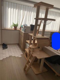 (Category: ) located in . Submitted by lydia1017 (Listing ID 1092775678, Image 1). Description: .