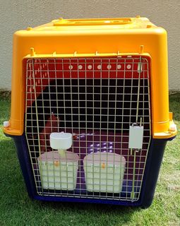 (Category: ) located in . Submitted by douglas.j.parry (Listing ID 1092631957, Image 1). Description: .