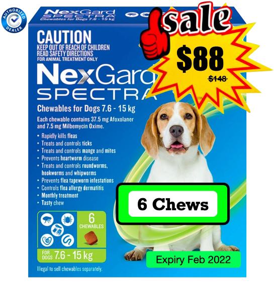 Nexgard spectra sale top