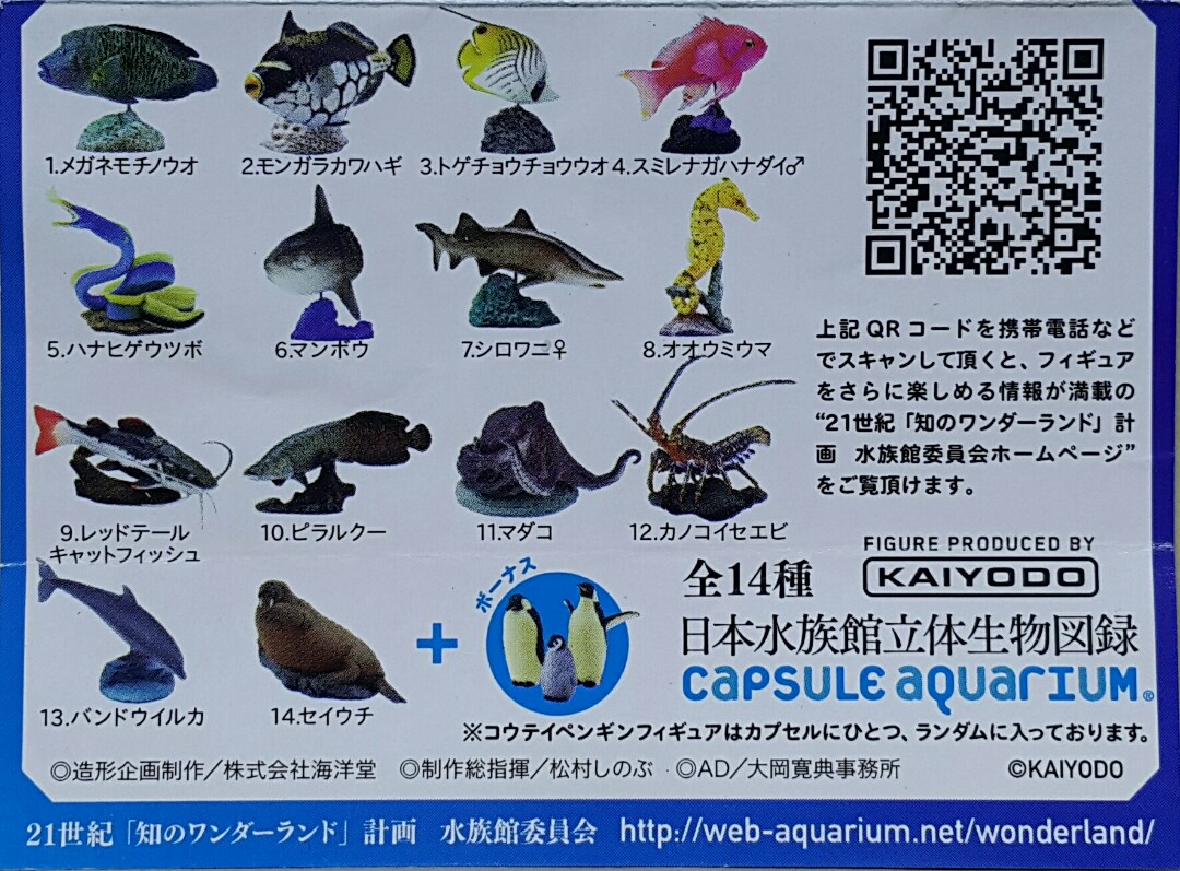 新江ノ島 水族館 限定 世界博物画 立体図鑑 Ⅰ ボックス 全8種 正規品 