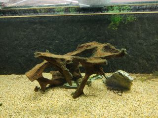 (Category: ) located in . Submitted by mike8333 (Listing ID 1092970695, Image 1). Description: .