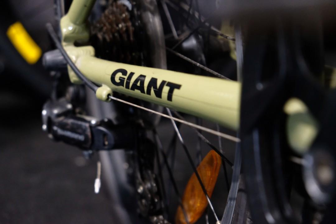 giant expressway 1 weight