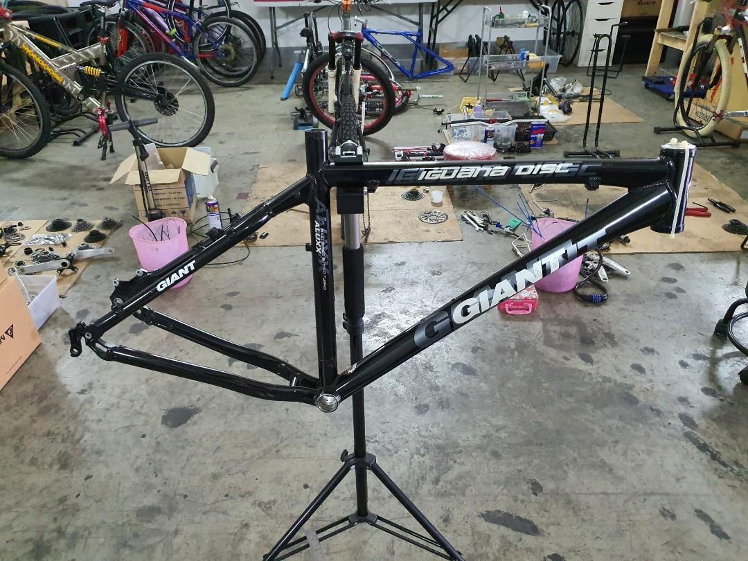 Giant Iguana Disc - 26er Frame, Sports 