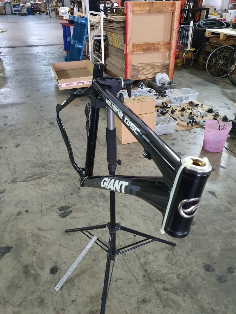 giant iguana disc 2008