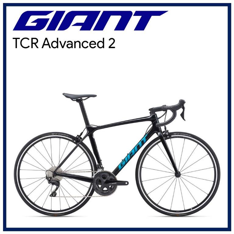 giant xl road bike