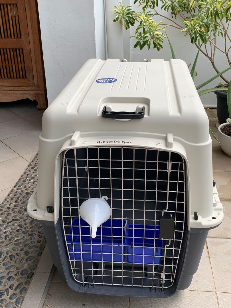 IATA Approved Large Pet Carrier Crate, Pet Supplies, Homes & Other Pet