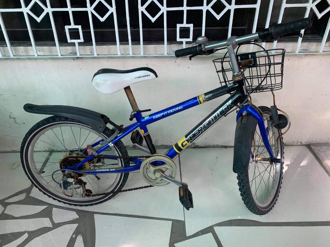 japan surplus mountain bike