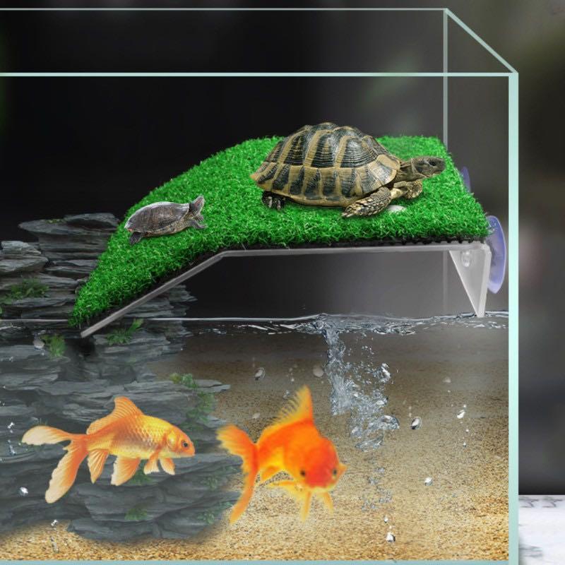 Turtle basking platform (Category: Homes & Other Pet Accessories) located in Singapore. Submitted by Aquariumfever (Listing ID 1092968761, Image 1). Description: Brand new turtle basking platform. 2 choices: clear plastic or platform with artificial turf. 3 sizes available, pls refer to above pic for sizes and dimension. S-$5 m-$7 L-$10.