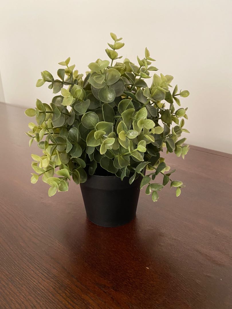 9x IKEA artificial tree, Furniture & Home Living, Home Decor