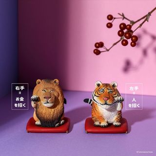 （分類：）位於 。 由 rosaa_cat 提交（商品編號 1093179011，圖片 1）。簡介： 。