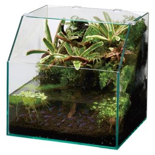 (Category: ) located in . Submitted by aplant (Listing ID 1093092440, Image 1). Description: .