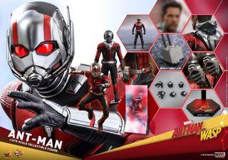 Hot Toys Antman & The Wasp Antman 1/6