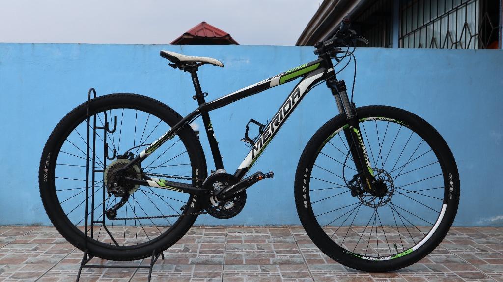 Trinx foxter on sale