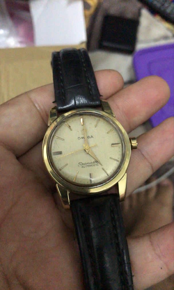 Cal 501 cheap