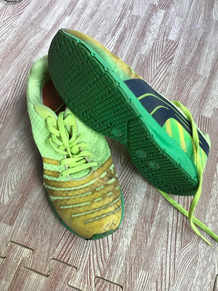 Puma Faas 300 V3