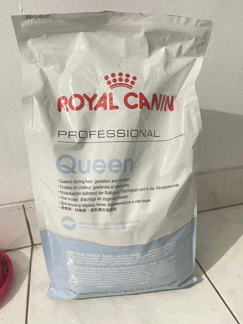 royal canin queen