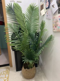 （分類：）位於 。 由 ttlot 提交（商品編號 1097859212，圖片 1）。簡介： 。
