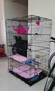 (Category: ) located in . Submitted by stadcy0505 (Listing ID 1097893792, Image 1). Description: .