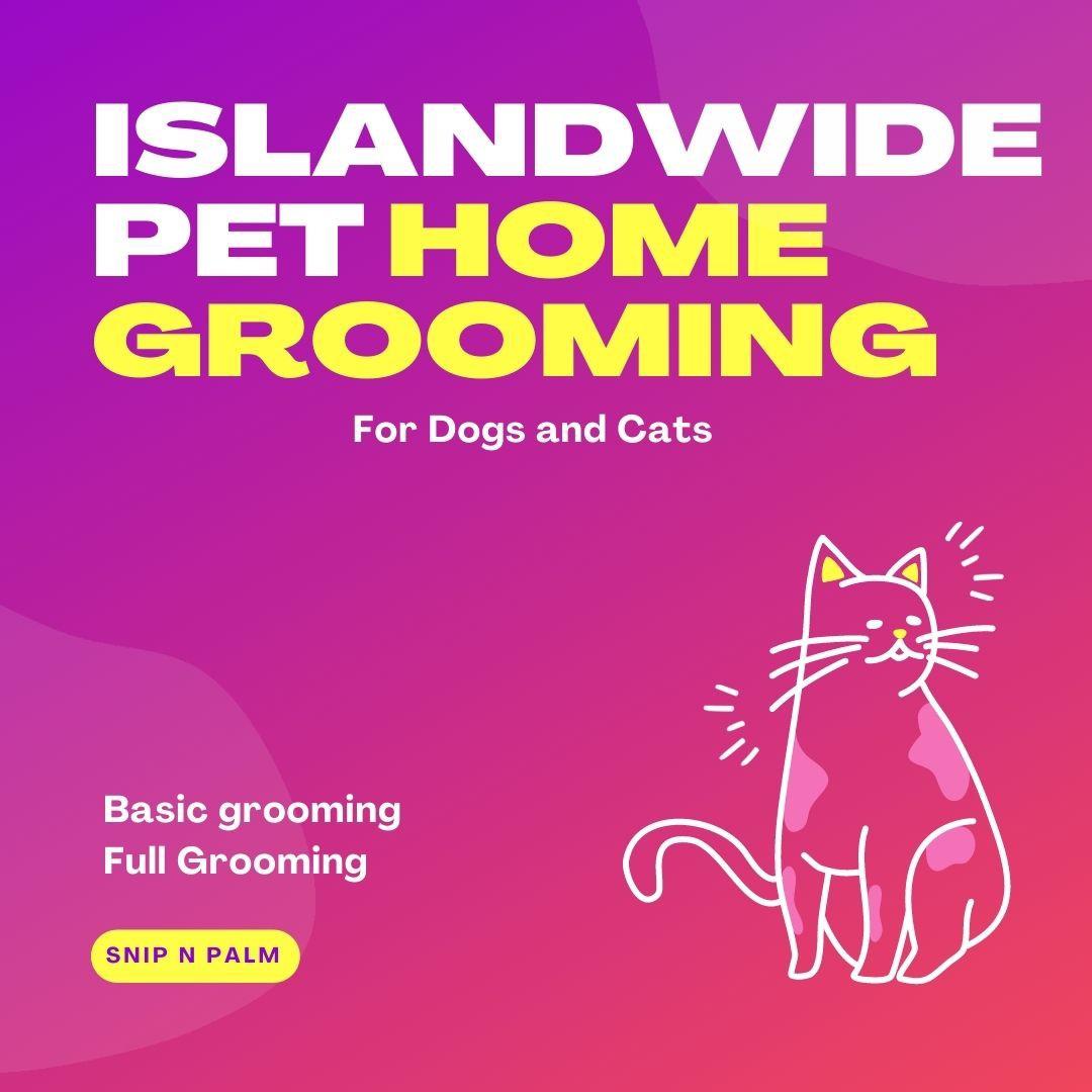 Grooming cats mobile service clearance