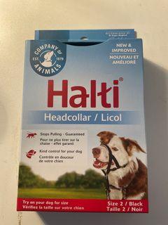 Halti Headcollar by Company of Animals