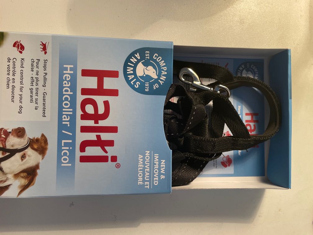 Halti Headcollar by Company of Animals