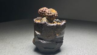（分類：）位於 。 由 mosigan 提交（商品編號 1097800955，圖片 1）。簡介： 。