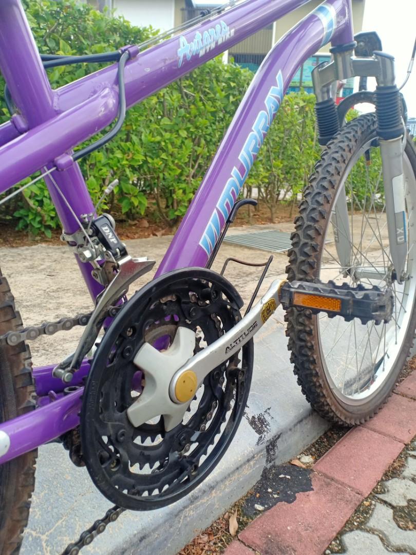 Murray 24